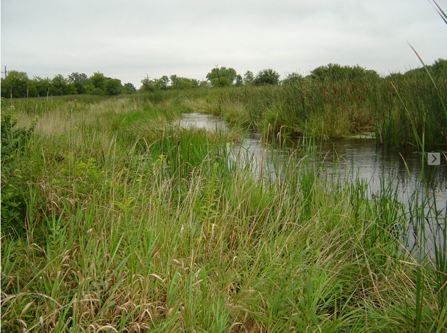 6N757 Dunham Road Wayne, IL 60184 - Photo 14 of 14 a view of lake with green space