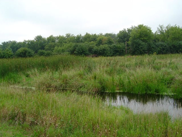 6N757 Dunham Road Wayne, IL 60184 - Photo 5 of 14 a view of lake