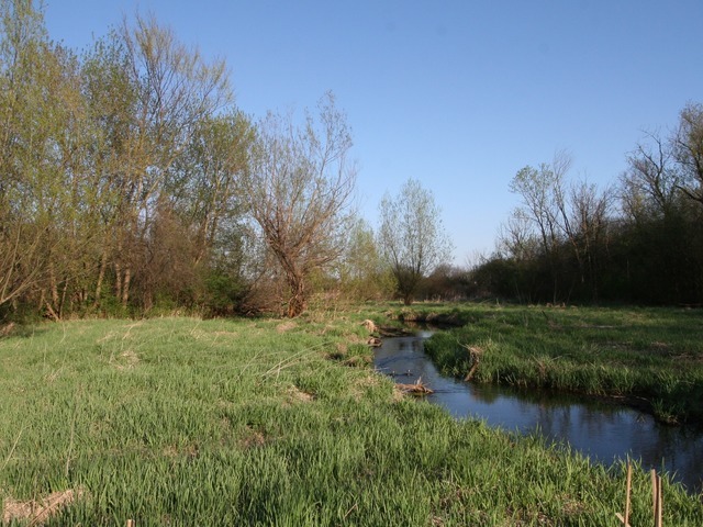 6N757 Dunham Road Wayne, IL 60184 - Photo 9 of 14 a view of a lake with a yard and large trees