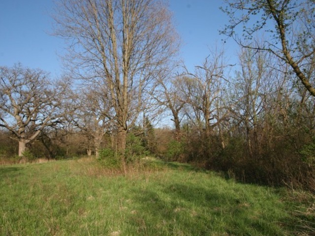 6N757 Dunham Road Wayne, IL 60184 - Photo 10 of 14 a view of a yard
