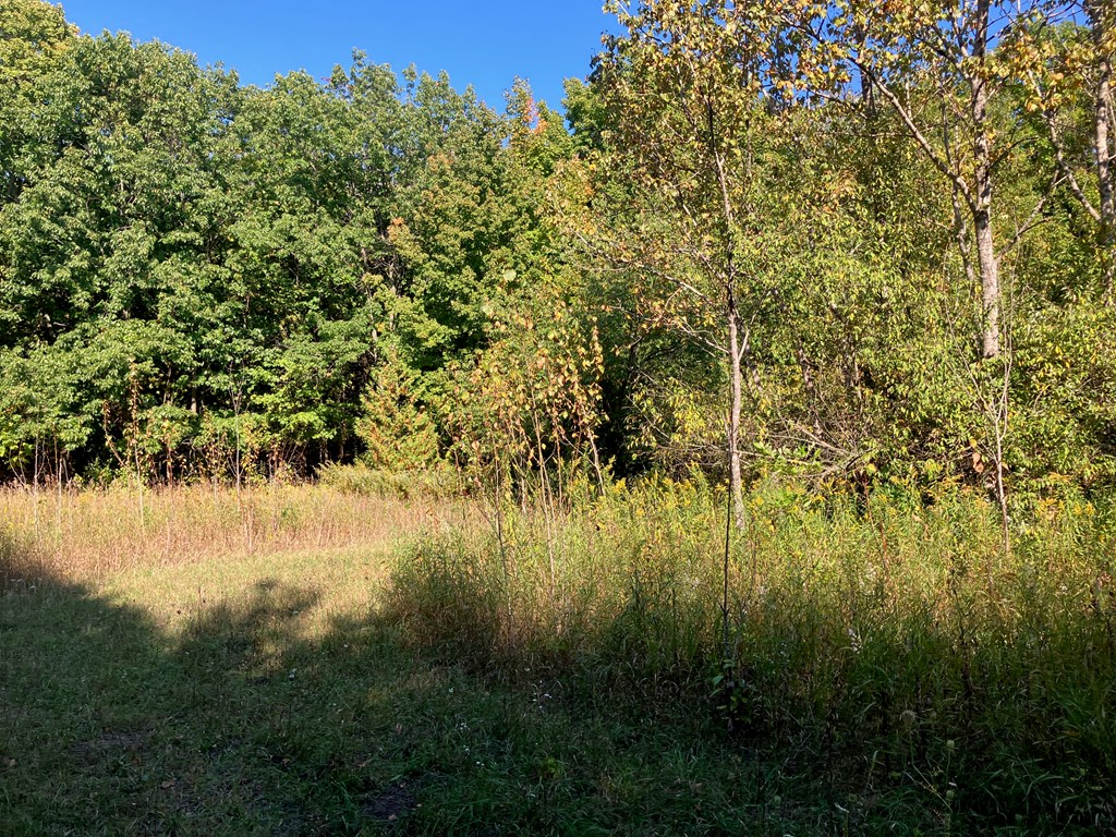 Tbd Beach Road Sister Bay, WI 54234 - Photo 9 of 11