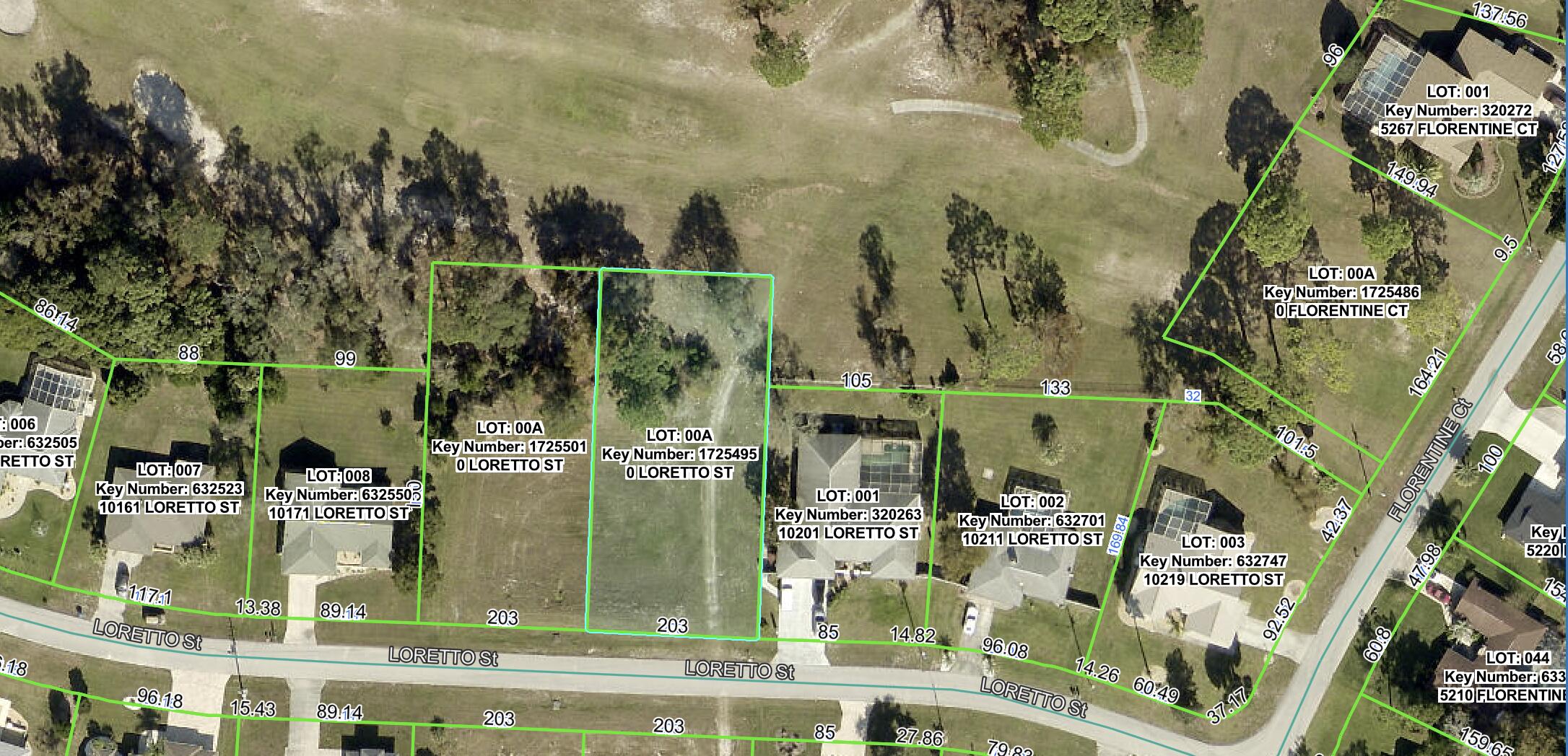 0 Loretto Street Spring Hill, FL 34608 - Photo 3 of 3 Parcel 4 Loretto St Aerial