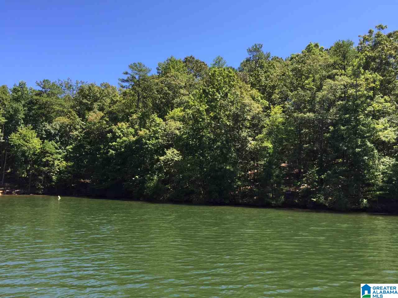 1292 County Road, Unit 1 45 Wedowee, AL 36278 - Photo 1 of 8