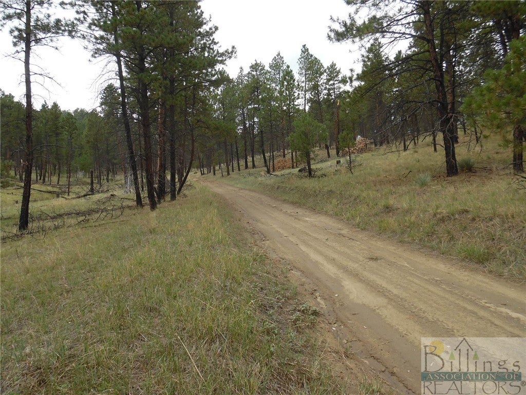 Tbd Alpine Lane Roundup, MT 59072 - Photo 1 of 1 Gallery Image 1