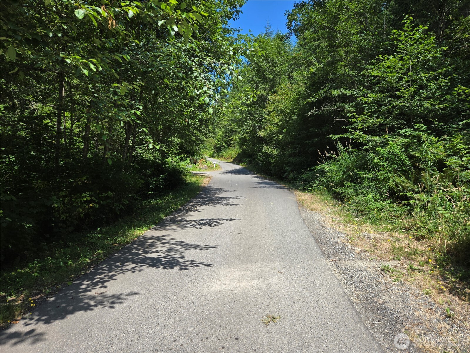 228-xx West King Lake Road Monroe, WA 98272 - Photo 21 of 38 a view of a road with plants and trees
