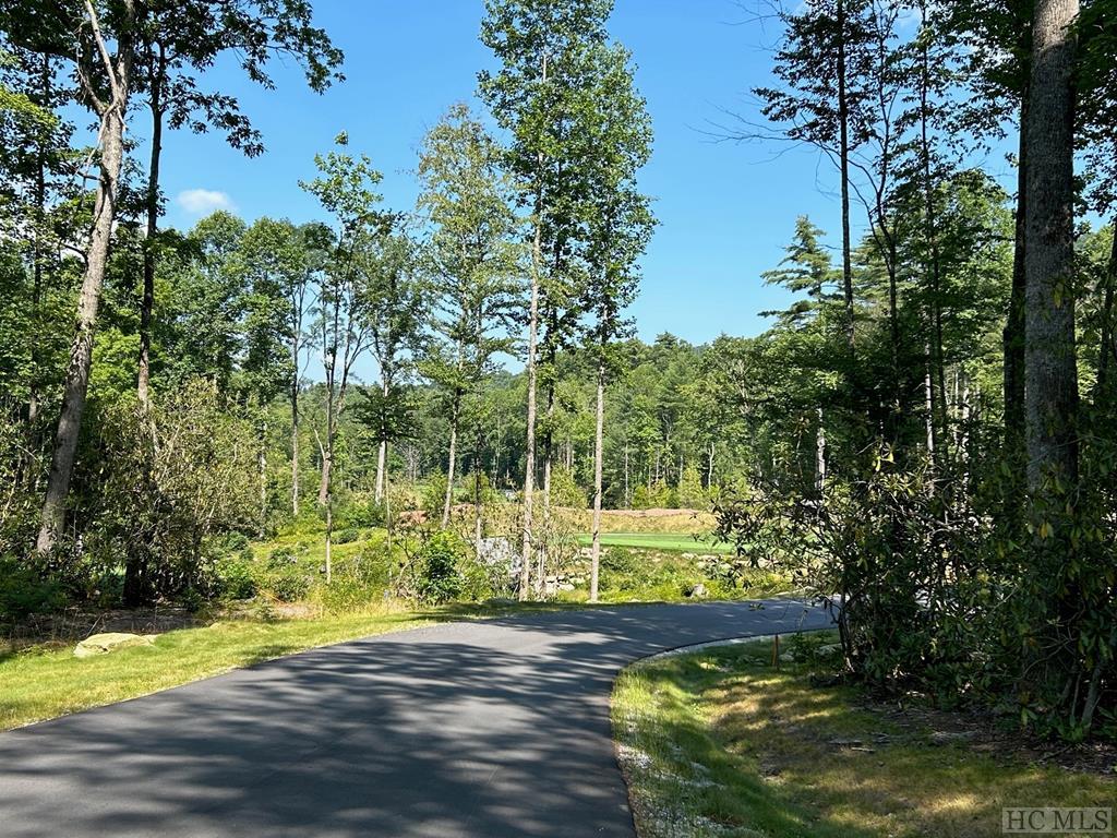 Lot 75 Flagstone Road Sapphire, NC 28774 - Photo 6 of 10 Gallery Image 6
