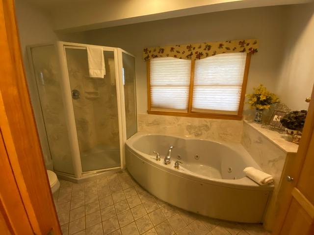 384 Laurel Road Townsend, TN 37882 - Photo 11 of 23 Jac. Tub