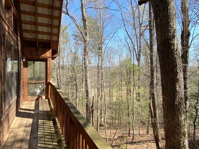 384 Laurel Road Townsend, TN 37882 - Photo 19 of 23 Side view