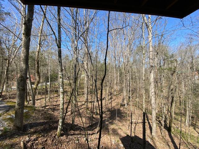 384 Laurel Road Townsend, TN 37882 - Photo 20 of 23 View