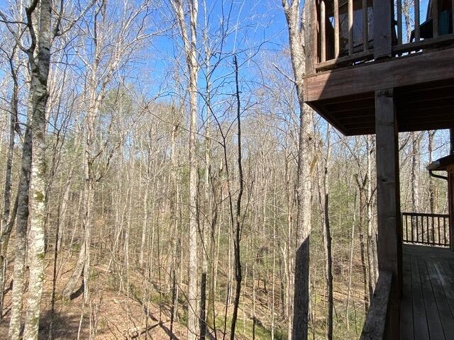 384 Laurel Road Townsend, TN 37882 - Photo 21 of 23 View