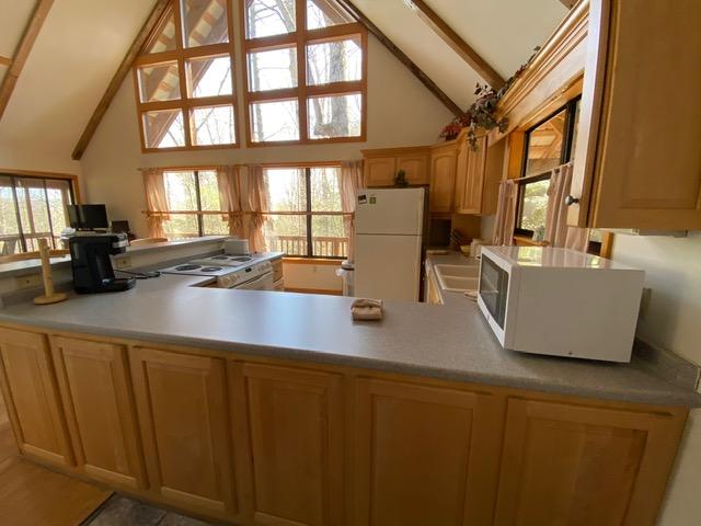 384 Laurel Road Townsend, TN 37882 - Photo 8 of 23 Kitchen