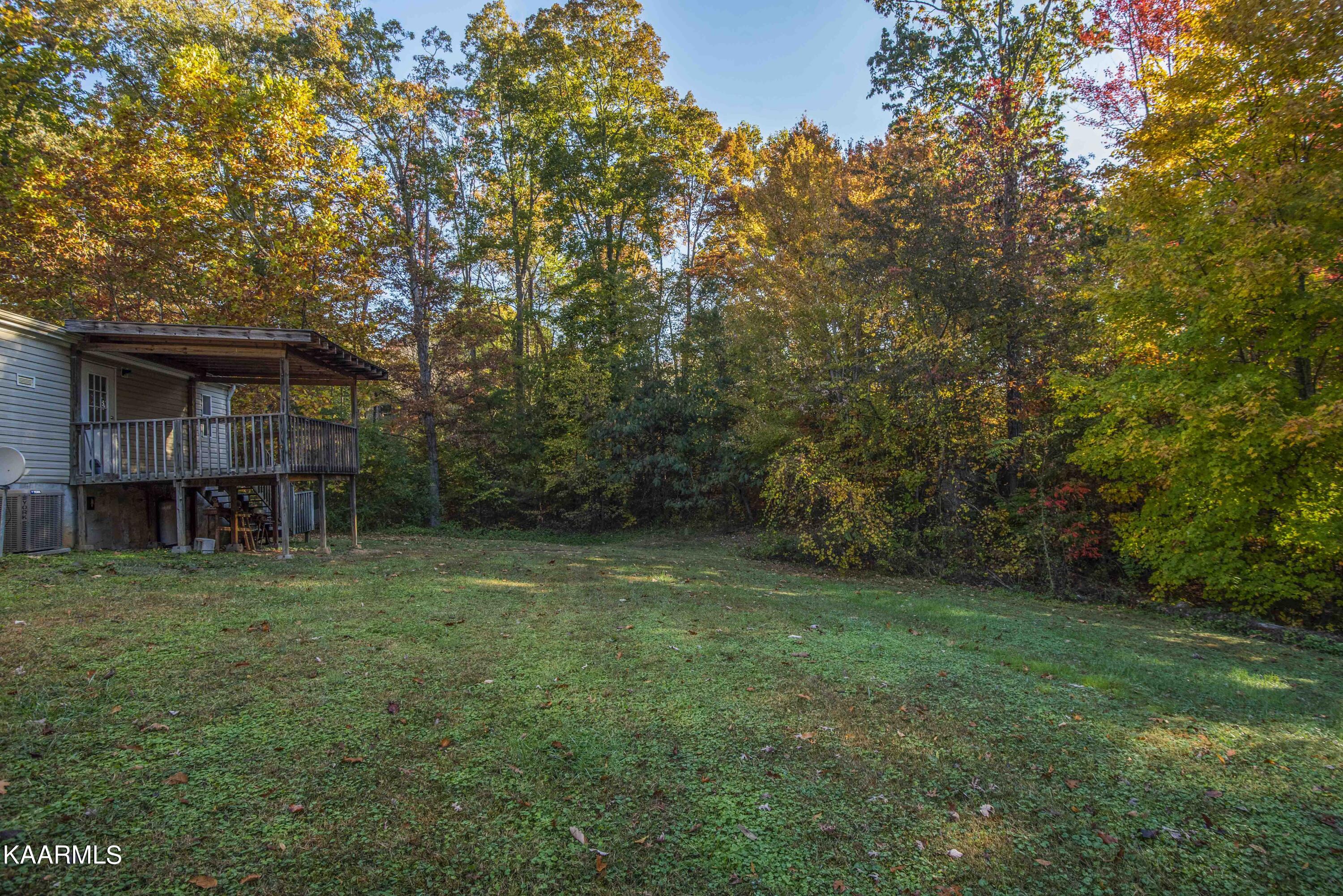 9935 Old Chestnut Ridge Road Heiskell, TN 37754 - Photo 31 of 39 yard 5_1