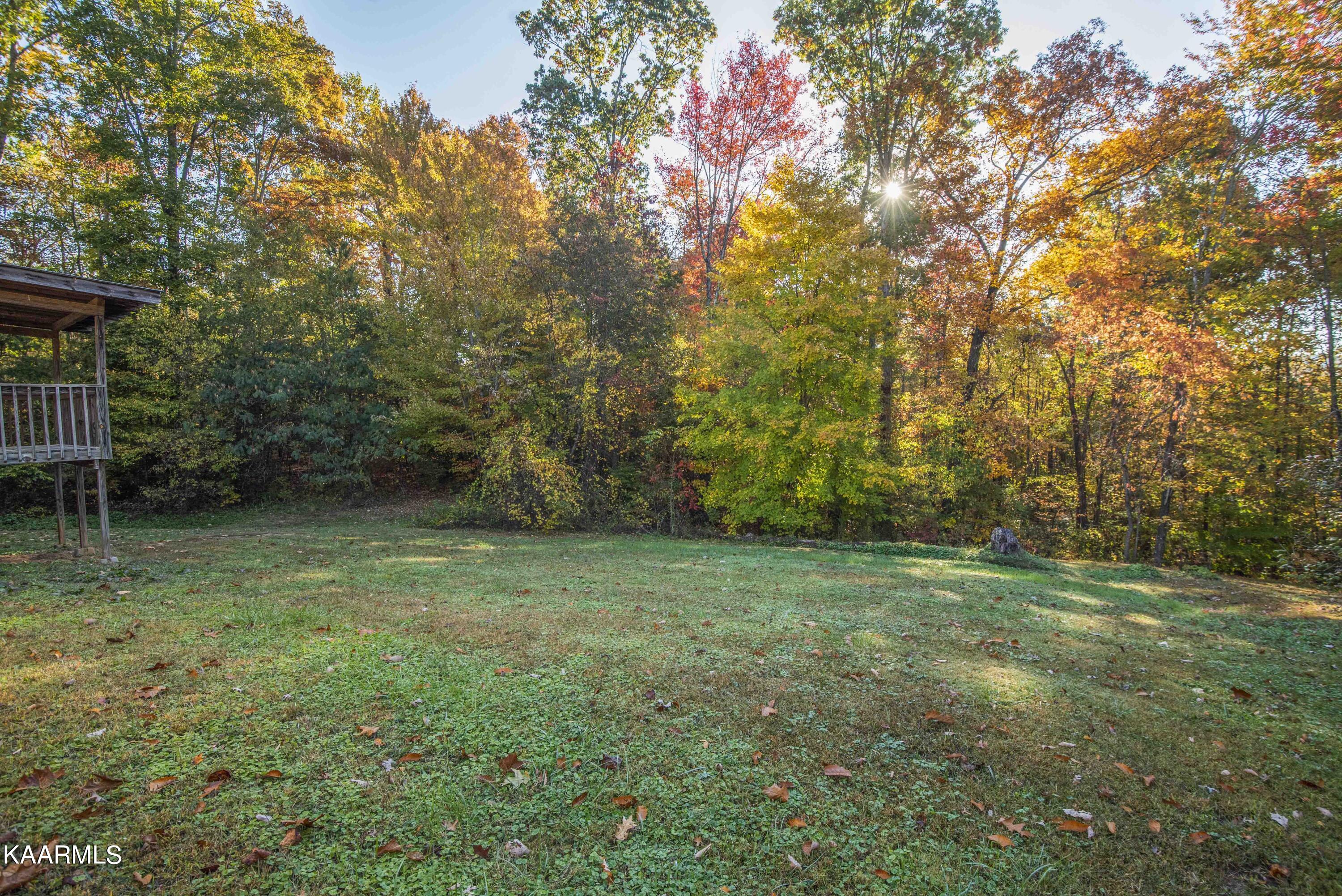 9935 Old Chestnut Ridge Road Heiskell, TN 37754 - Photo 32 of 39 yard 6_1