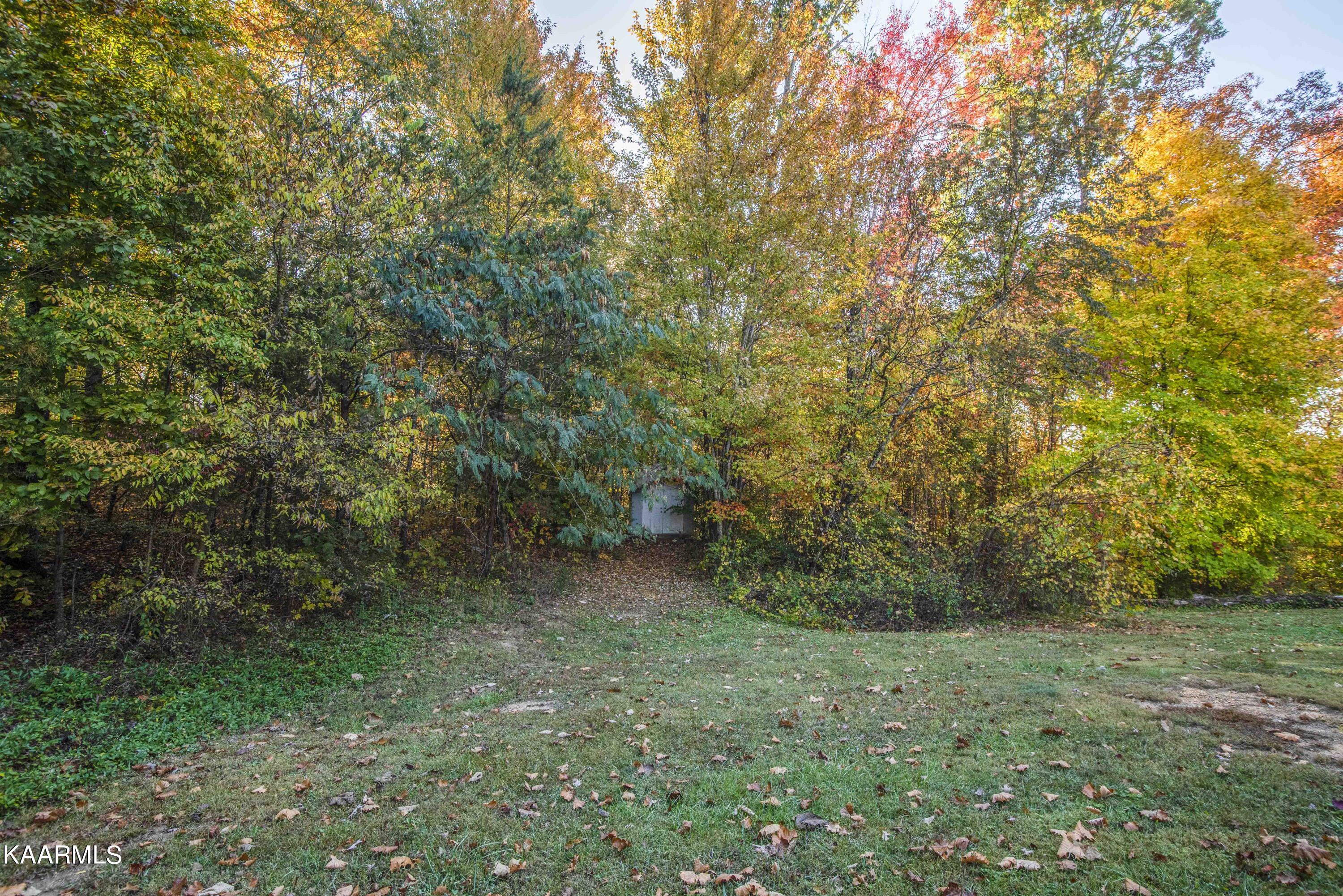 9935 Old Chestnut Ridge Road Heiskell, TN 37754 - Photo 33 of 39 yard_1