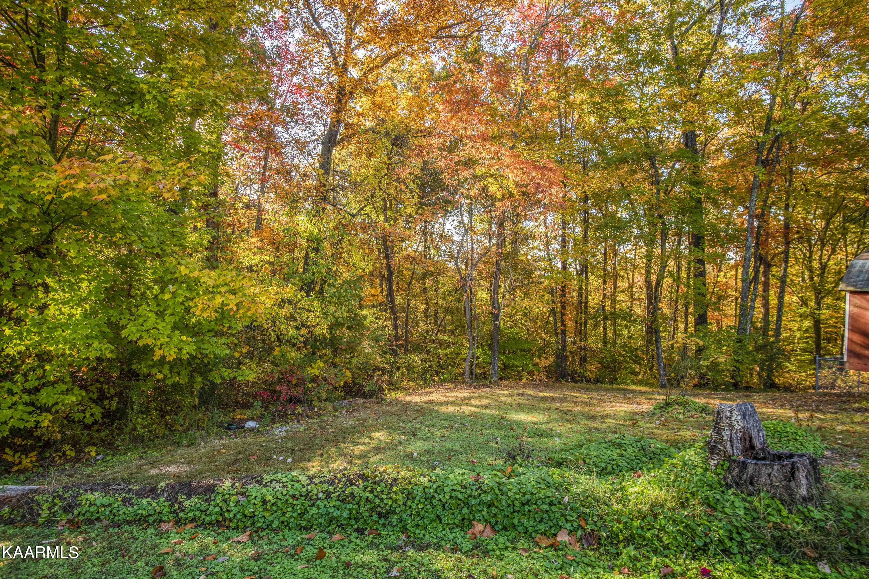 9935 Old Chestnut Ridge Road Heiskell, TN 37754 - Photo 34 of 39 yard 3_1