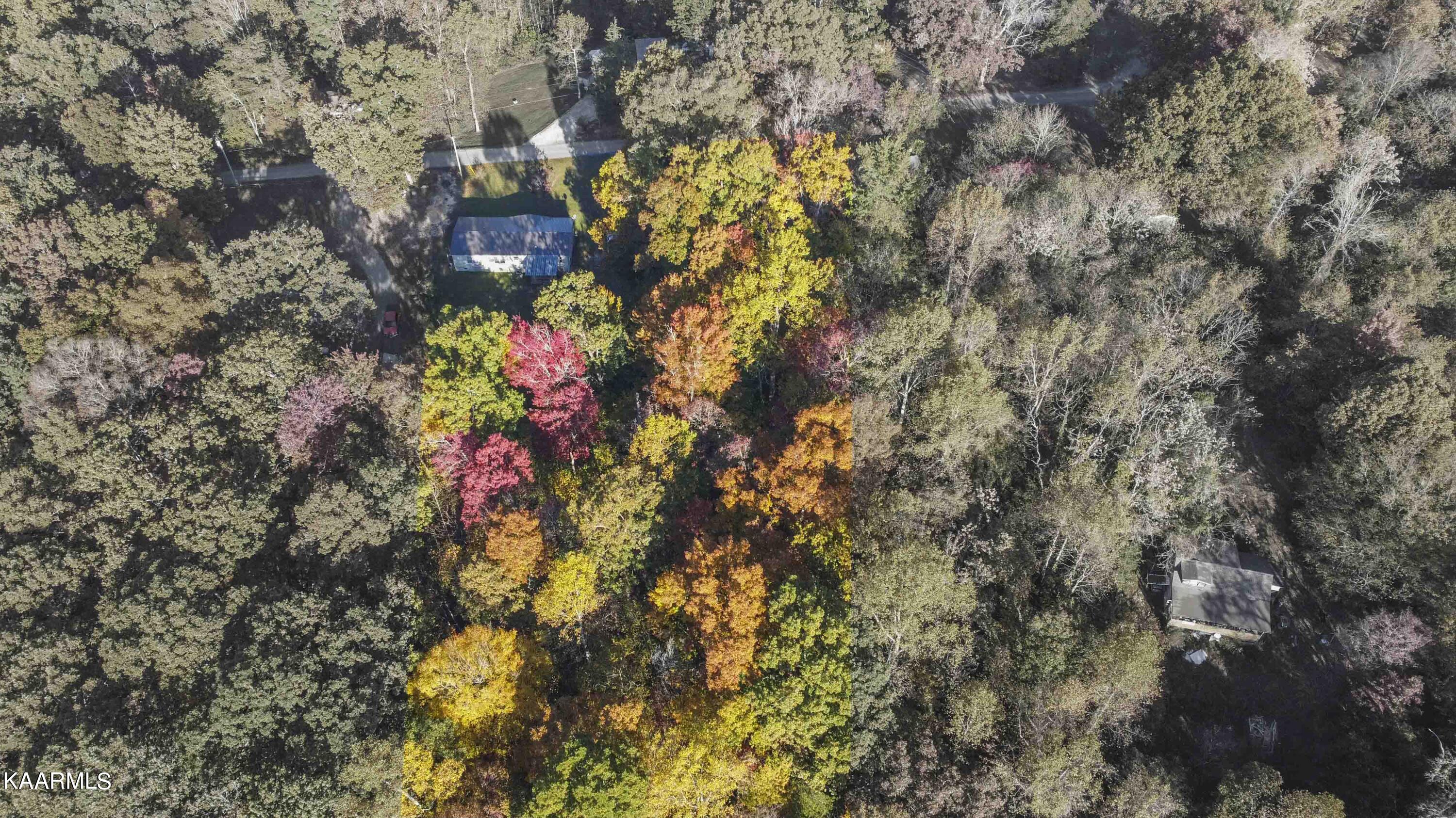 9935 Old Chestnut Ridge Road Heiskell, TN 37754 - Photo 35 of 39 drone 4_1