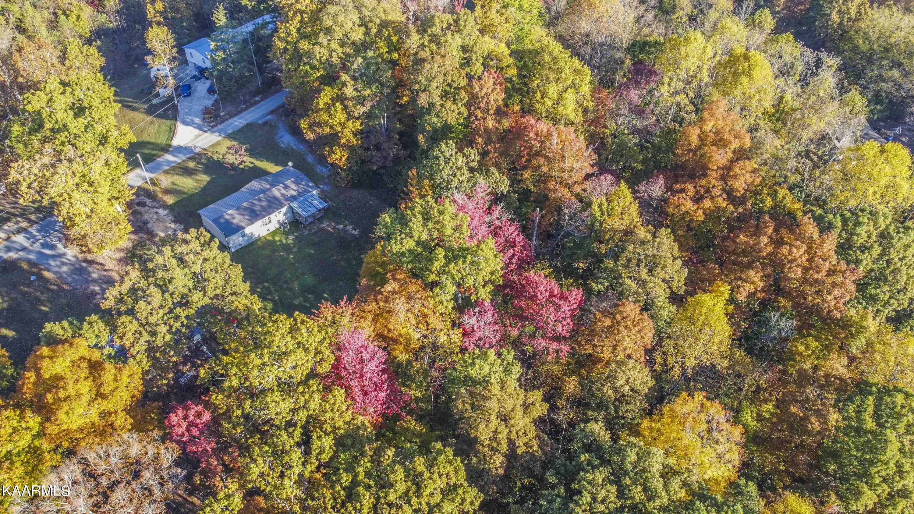9935 Old Chestnut Ridge Road Heiskell, TN 37754 - Photo 38 of 39 drone 1_1