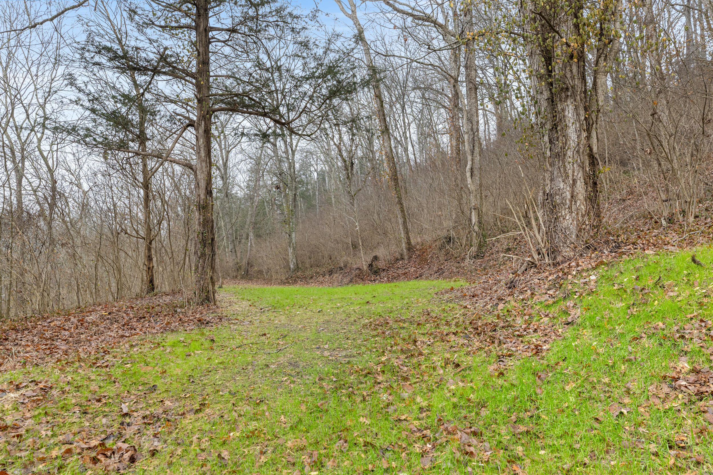 616 Jigg Water Road Richmond, KY 40475 - Photo 25 of 31 img_0309