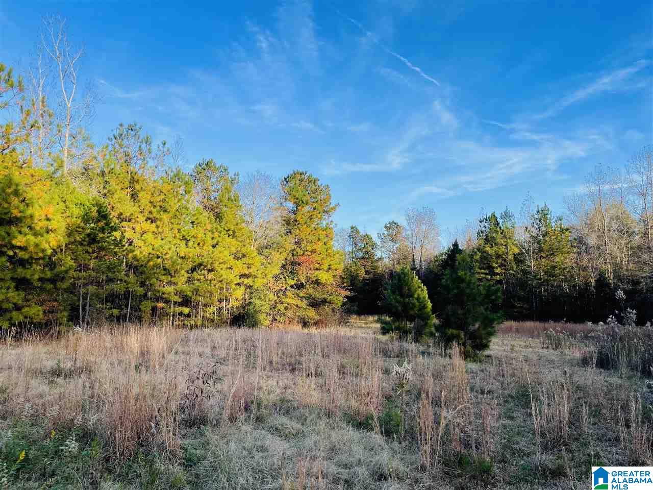 380 North Horton Road Wilsonville, AL 35186 - Photo 1 of 2