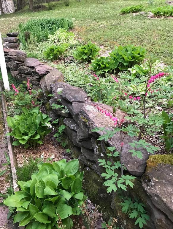 941 Brush Hollow Road Bovina Center, NY 13740 - Photo 40 of 75