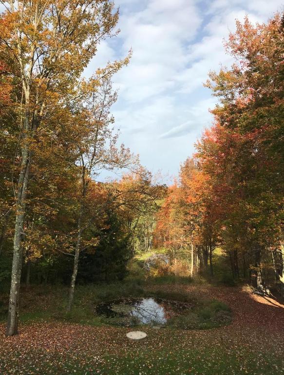 941 Brush Hollow Road Bovina Center, NY 13740 - Photo 63 of 75