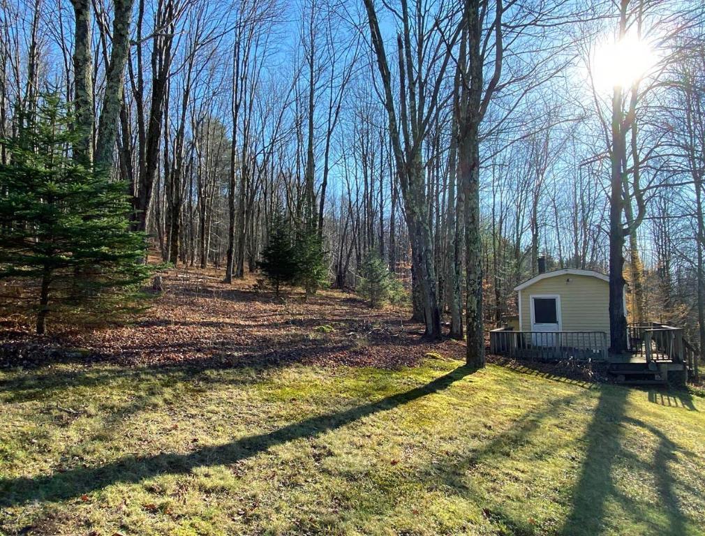 941 Brush Hollow Road Bovina Center, NY 13740 - Photo 66 of 75