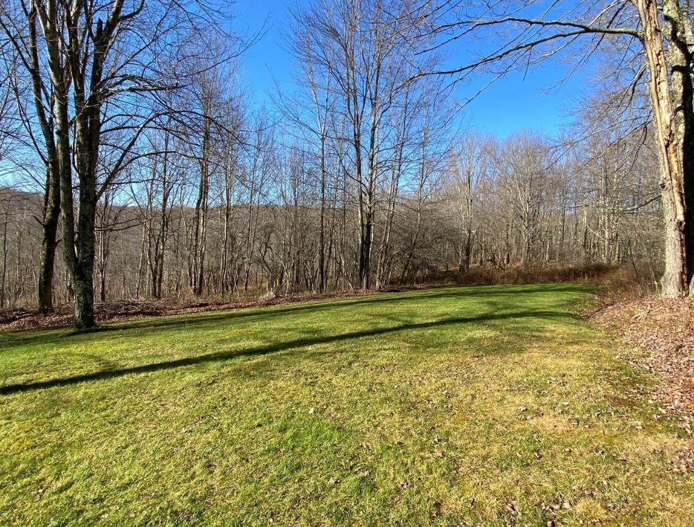 941 Brush Hollow Road Bovina Center, NY 13740 - Photo 68 of 75
