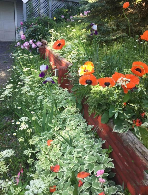 941 Brush Hollow Road Bovina Center, NY 13740 - Photo 69 of 75