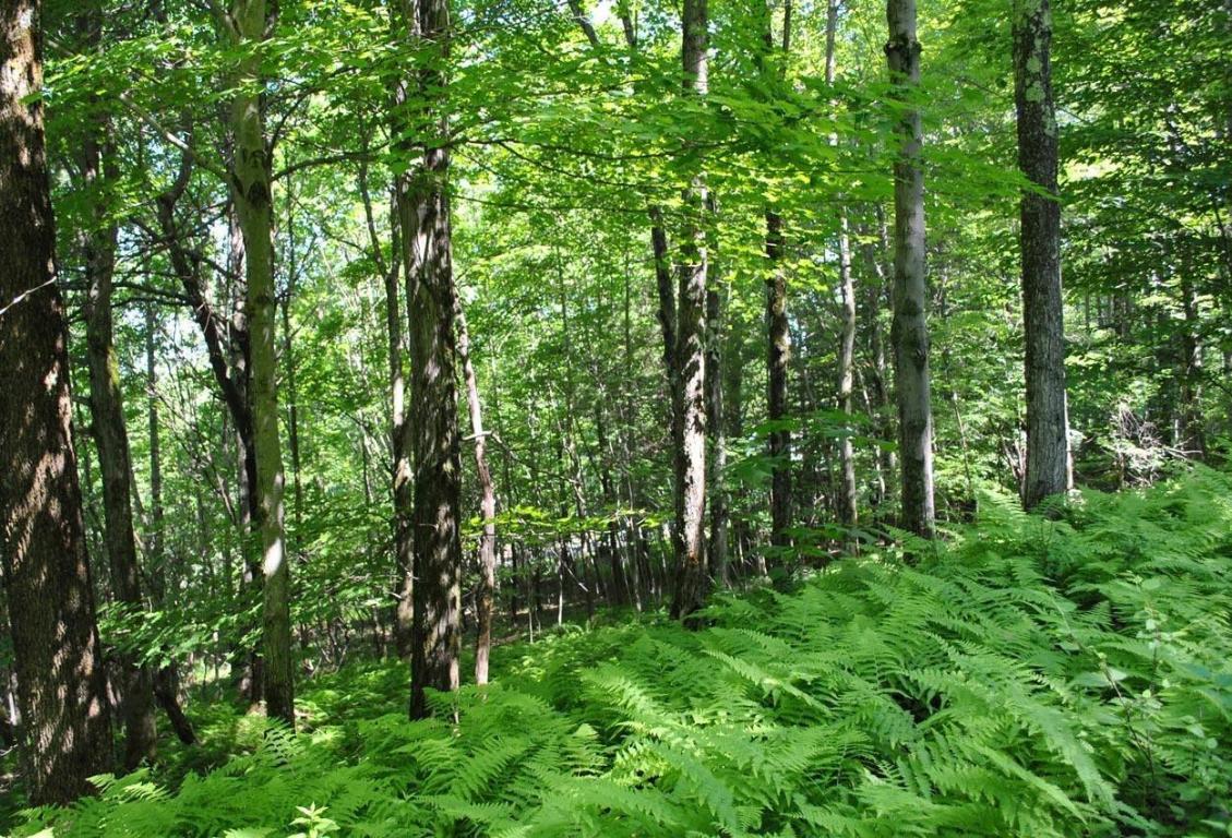 941 Brush Hollow Road Bovina Center, NY 13740 - Photo 70 of 75