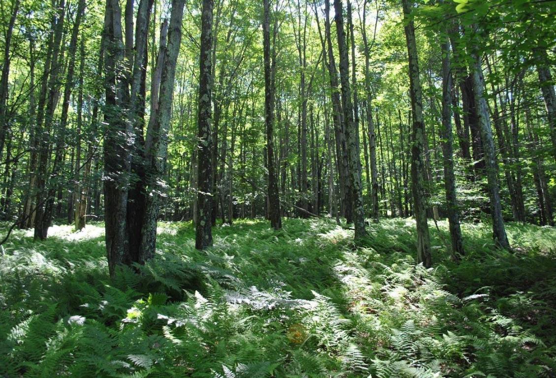 941 Brush Hollow Road Bovina Center, NY 13740 - Photo 71 of 75