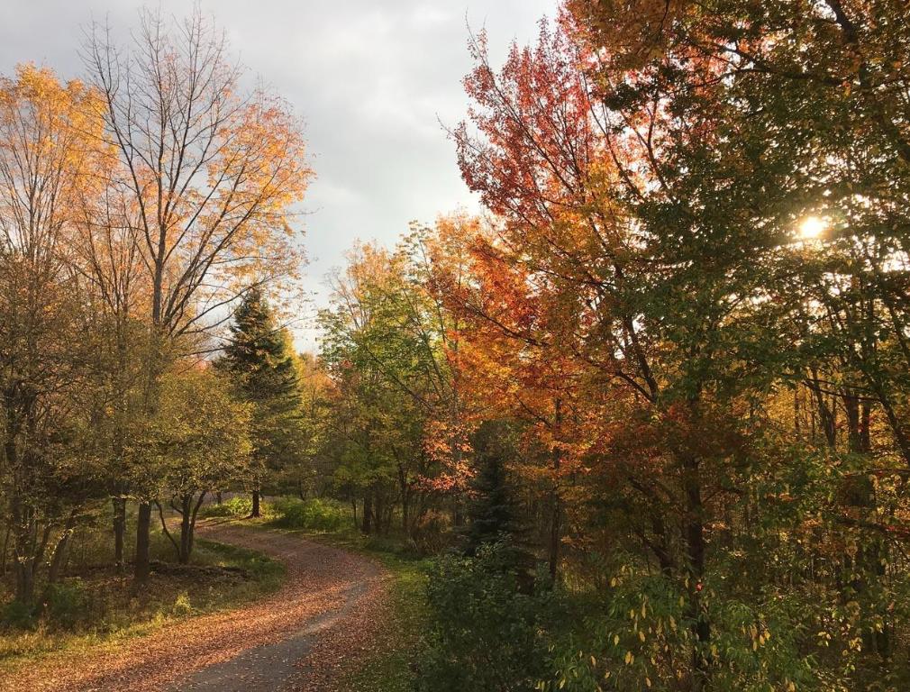 941 Brush Hollow Road Bovina Center, NY 13740 - Photo 72 of 75