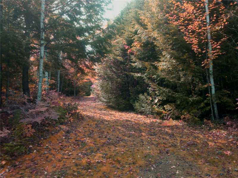 928 Garland Road Dexter, ME 04930 - Photo 16 of 23 Land.