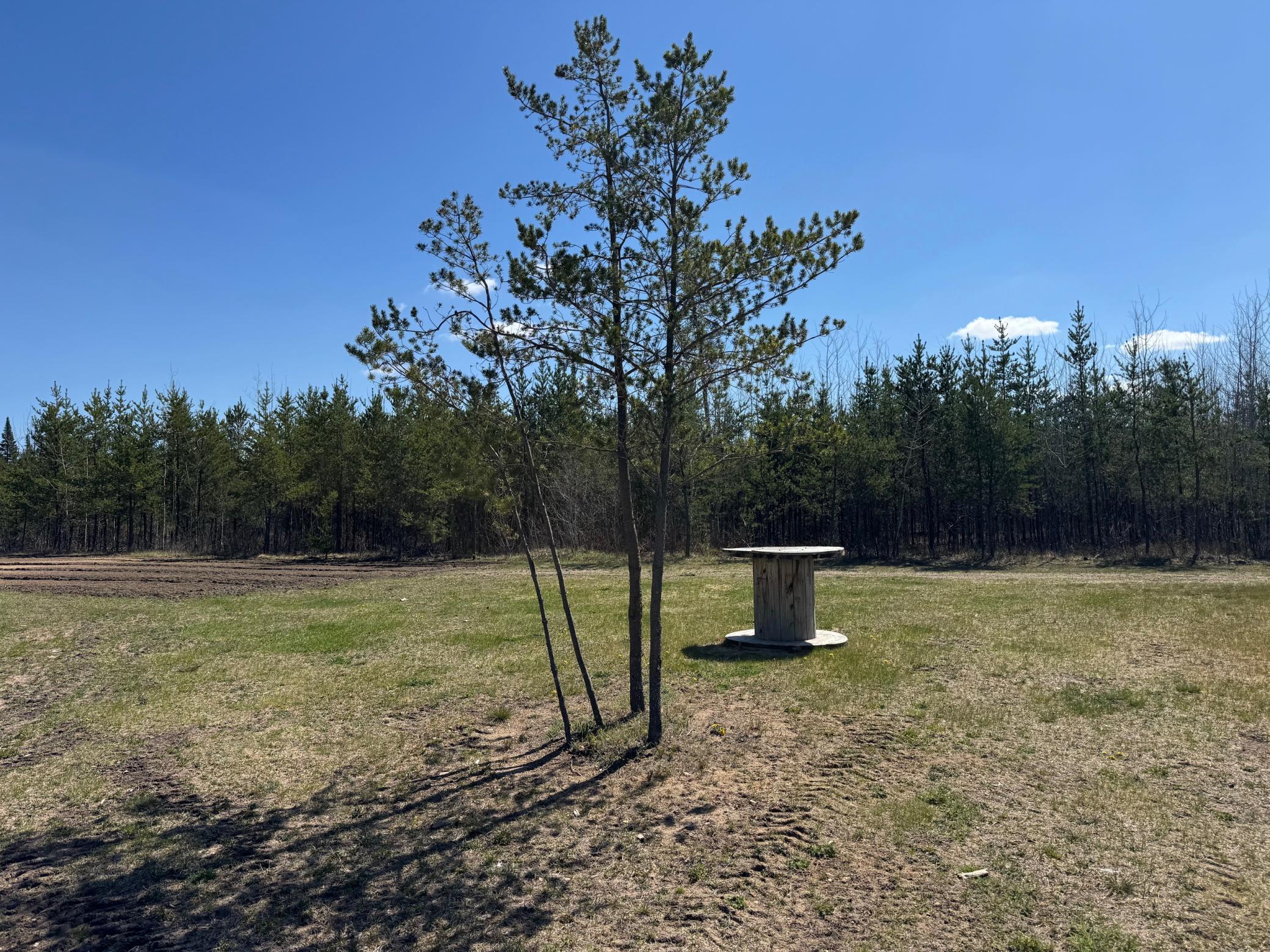 Tbd Thompson Forest Road Roseau, MN 56751 - Photo 11 of 12