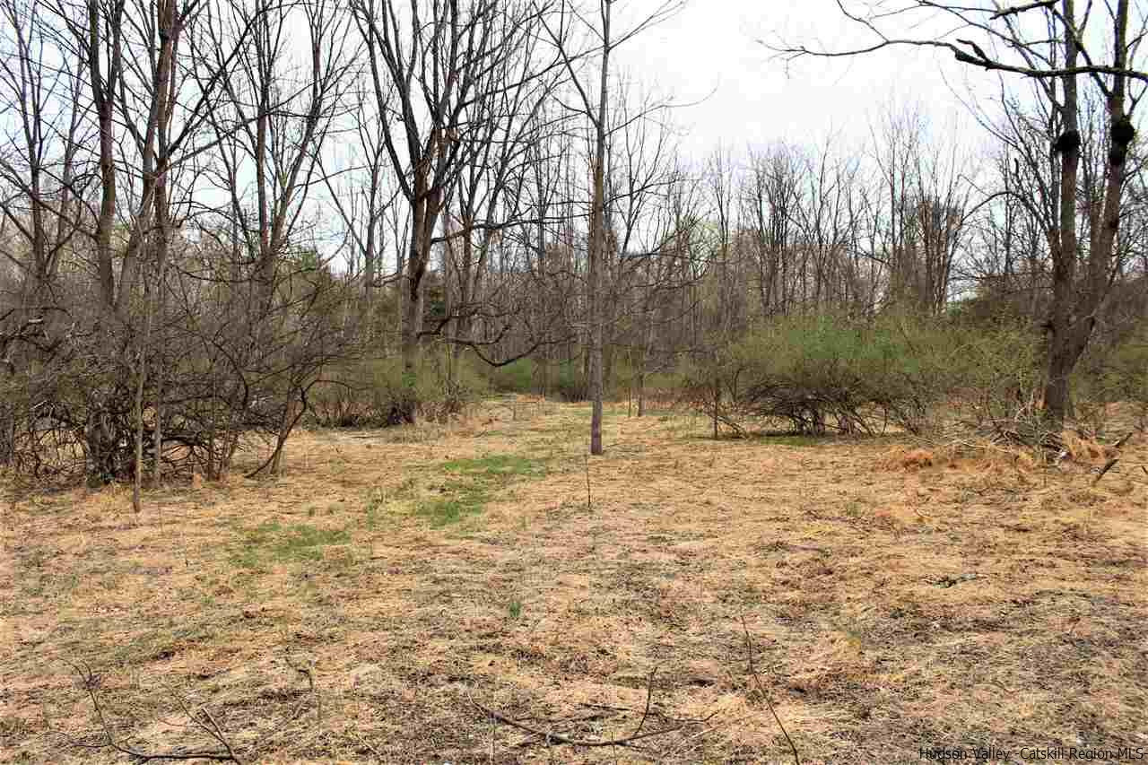 312 Cottekill Road Cottekill, NY 12419 - Photo 4 of 31 Photo 4