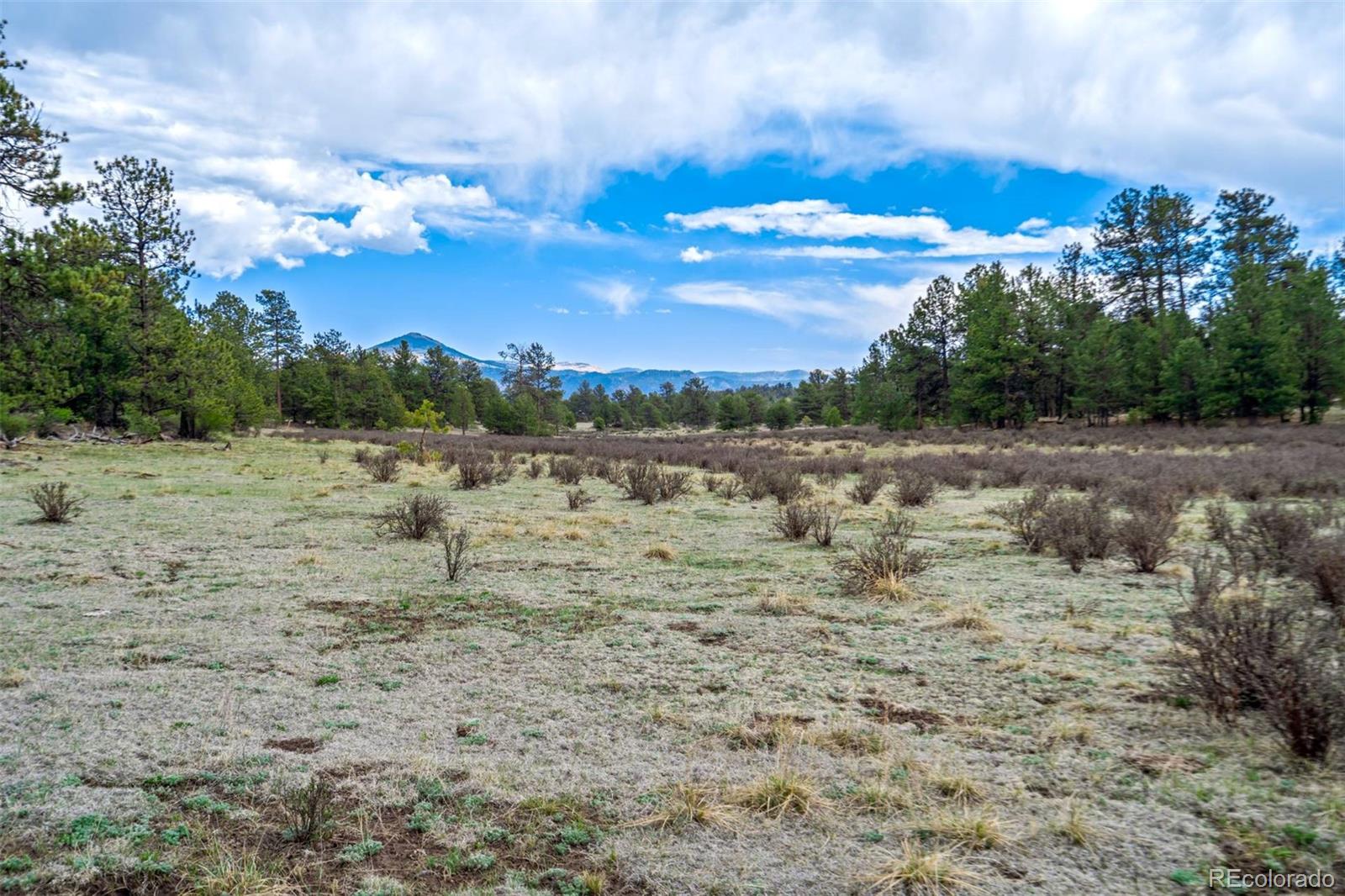 103 Doe Valley Road Guffey, CO 80820 - Photo 12 of 46