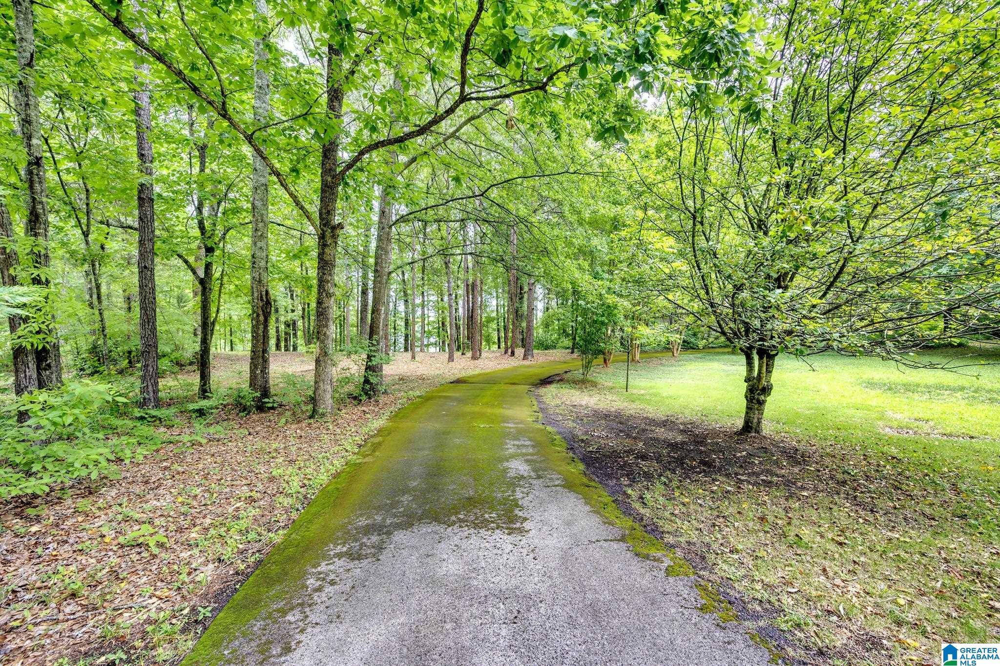 5441 Caldwell Mill Road Birmingham, AL 35242 - Photo 47 of 50