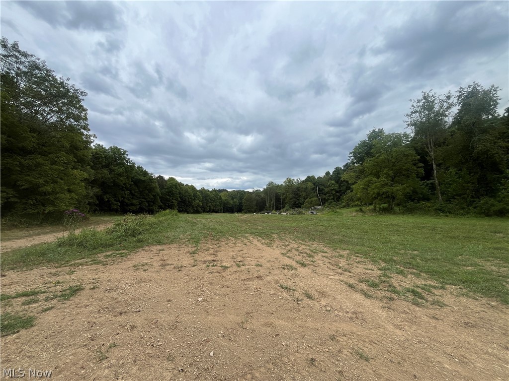1285 Moody Hollow Road Blue Rock, OH 43720 - Photo 3 of 20 View of wooded area