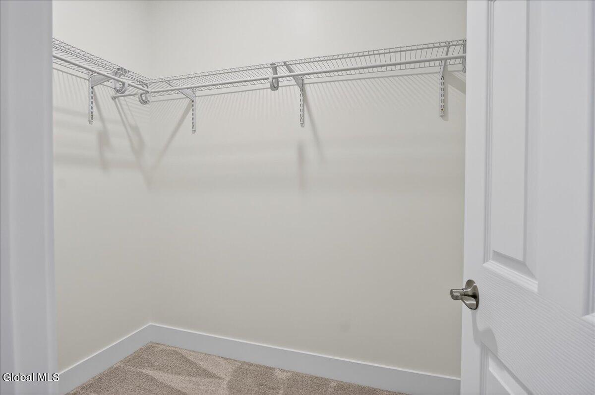 3 Elena Court Halfmoon, NY 12065 - Photo 24 of 47 Primary Closet