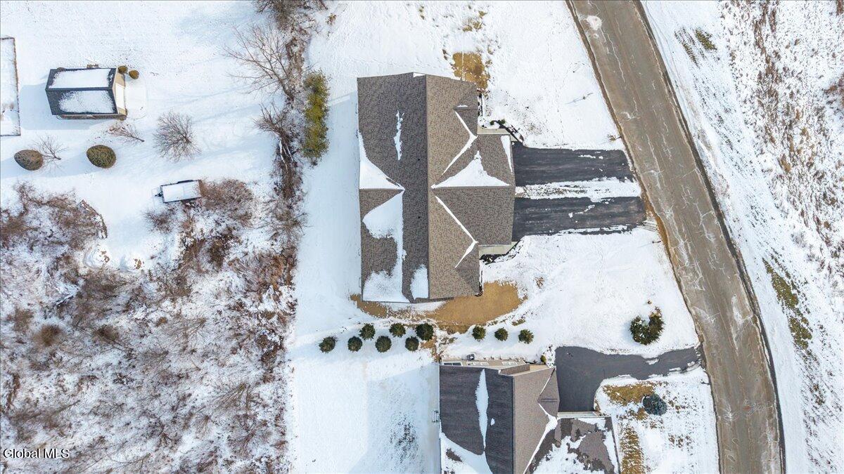 3 Elena Court Halfmoon, NY 12065 - Photo 44 of 47 Aerial View