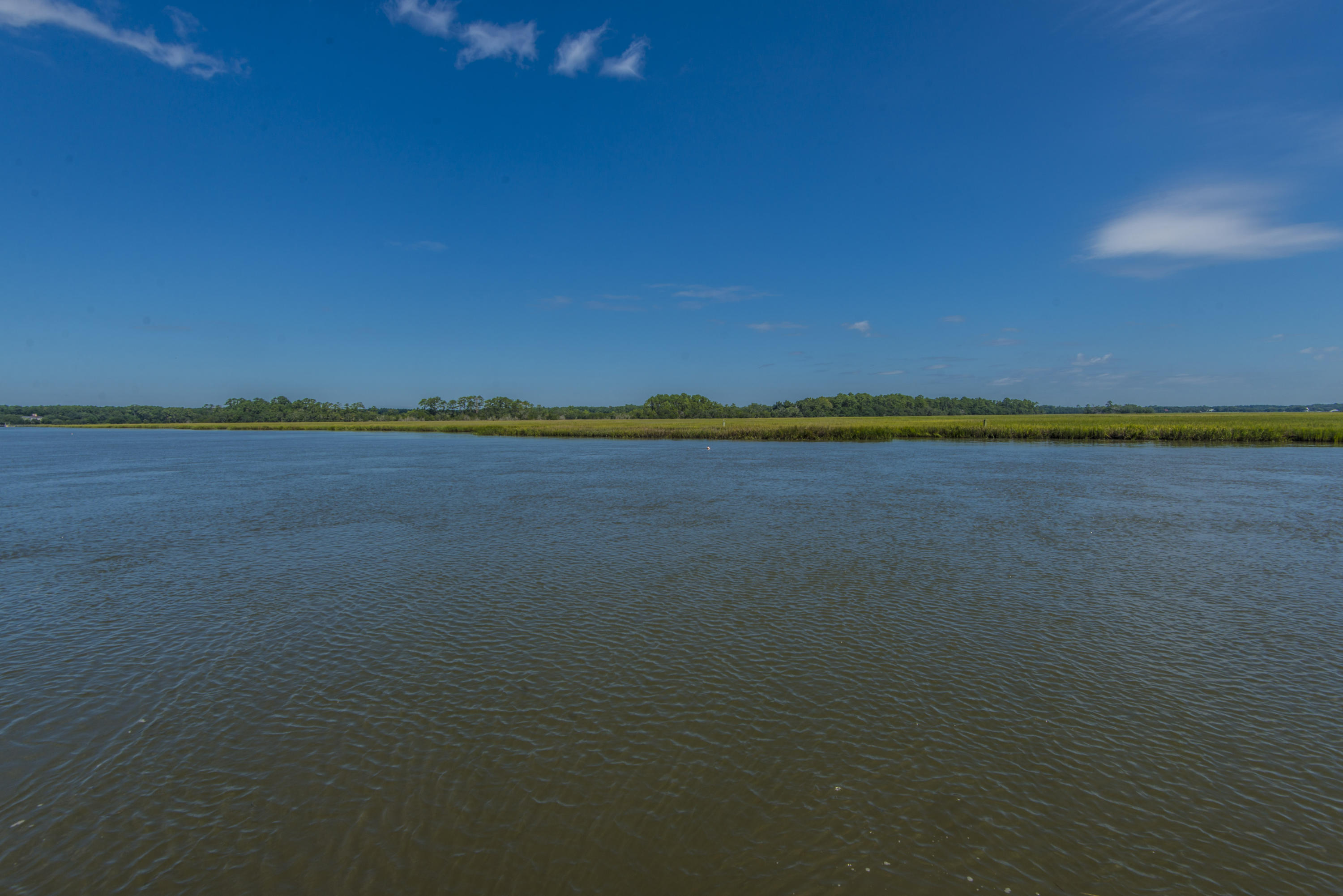 8686 Peters Point Road Edisto Island, SC 29438 - Photo 37 of 65 8686 Peters Pt rof (33)