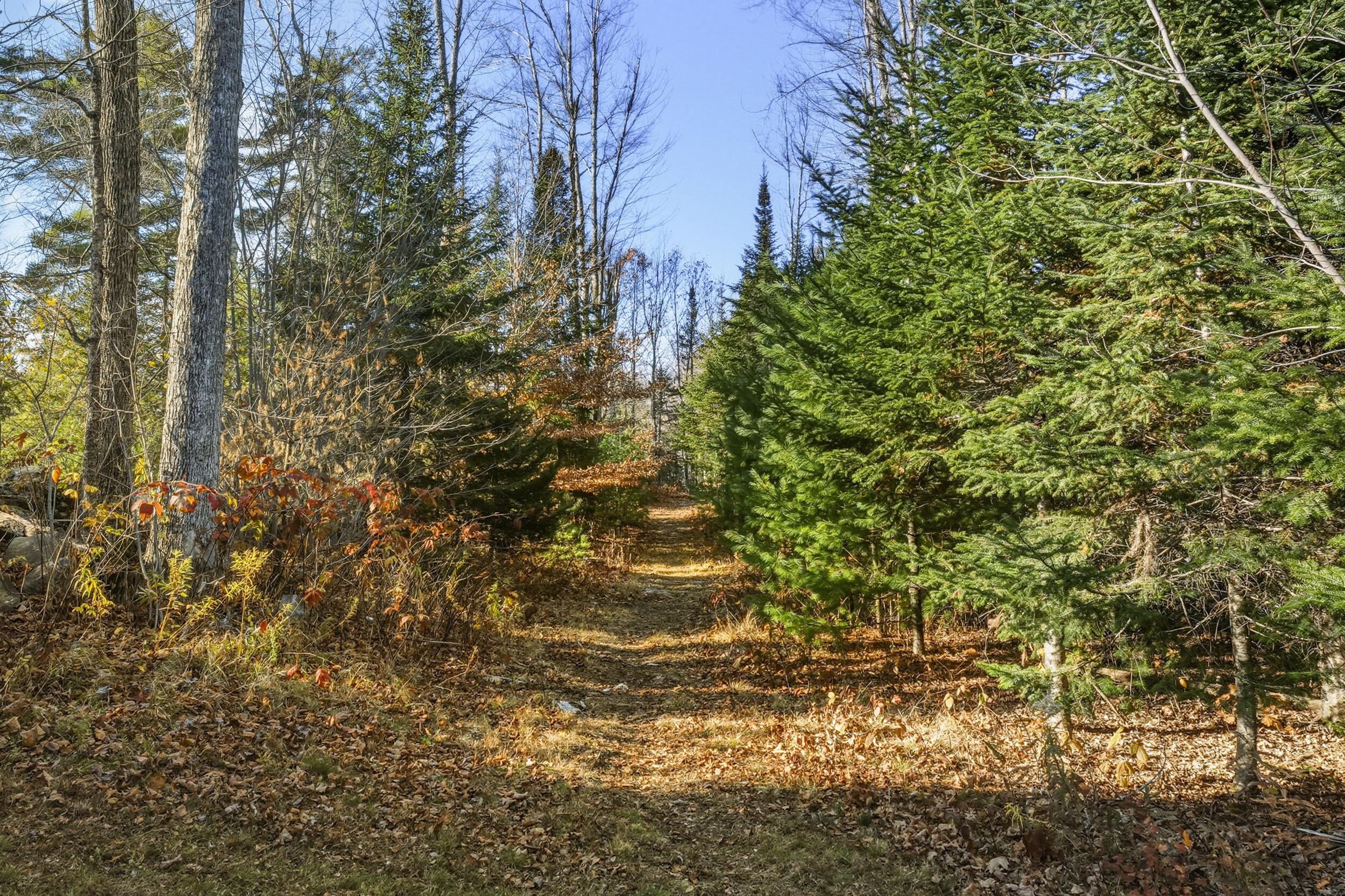 16 Cliff Drive Windham, ME 04062 - Photo 45 of 49 62_16cliff-9