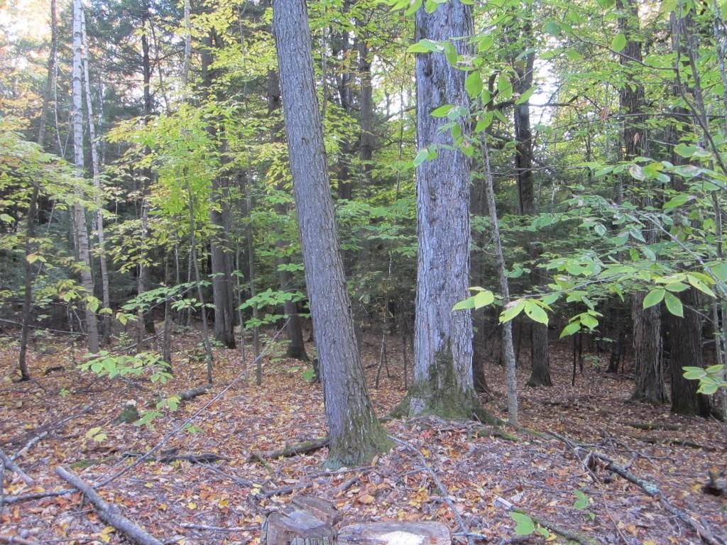 24 Pine Tree Road Litchfield, ME 04350 - Photo 31 of 35 Photo