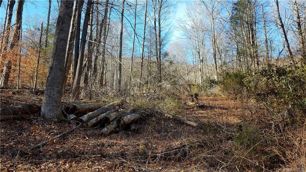 9 Boxturtle Road Candler, NC 28715 - Photo 1 of 13 Gallery Image 1