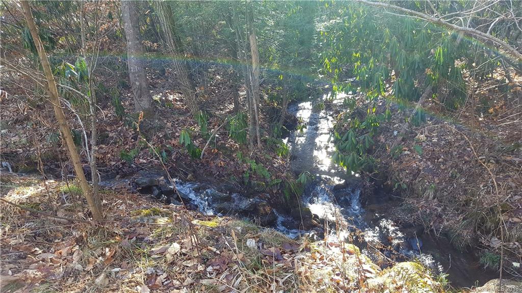 9 Boxturtle Road Candler, NC 28715 - Photo 2 of 13 Gallery Image 2