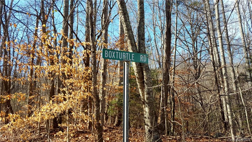 9 Boxturtle Road Candler, NC 28715 - Photo 11 of 13 Gallery Image 11