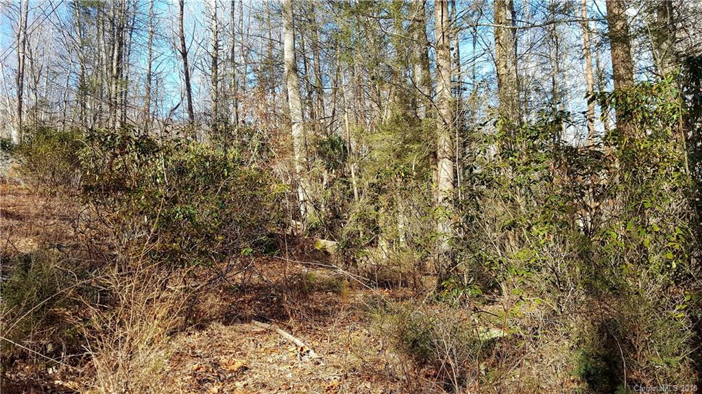 9 Boxturtle Road Candler, NC 28715 - Photo 4 of 13 Gallery Image 4