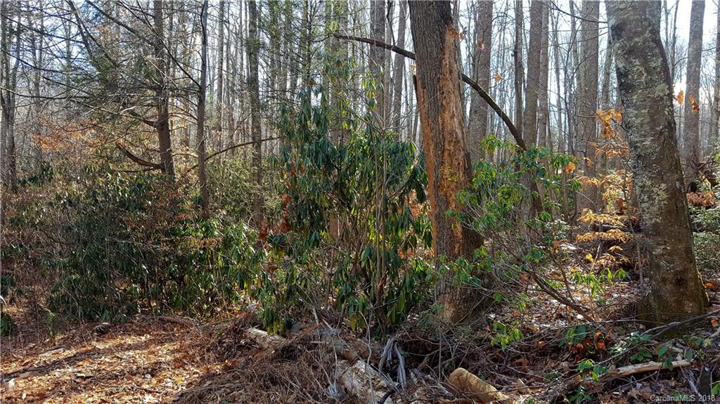 9 Boxturtle Road Candler, NC 28715 - Photo 5 of 13 Gallery Image 5
