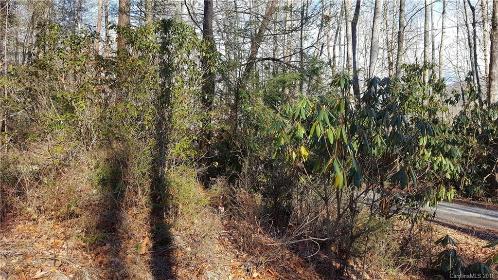 9 Boxturtle Road Candler, NC 28715 - Photo 6 of 13 Gallery Image 6