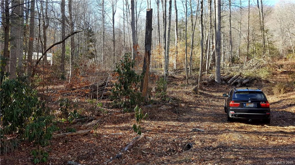 9 Boxturtle Road Candler, NC 28715 - Photo 7 of 13 Gallery Image 7
