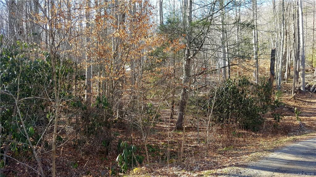 9 Boxturtle Road Candler, NC 28715 - Photo 9 of 13 Gallery Image 9
